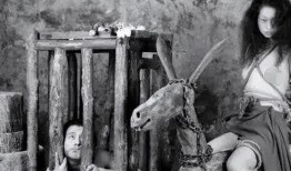 十大酷刑电影在线观看,揭秘古代刑罚的残酷与震撼