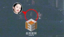 爆料刘亦菲恋情视频大全