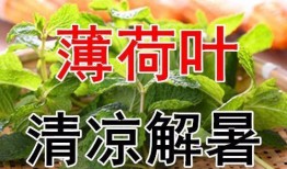吃三叶瓜视频大全集免费观看,免费畅享美味瞬间