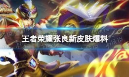 王者皮肤新爆料最新消息,新皮肤爆料，神秘英雄即将登场！