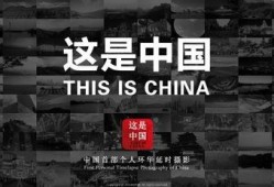 中国环在线观看,探索绿色发展的中国故事