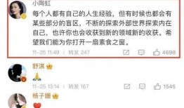 明星热搜爆料视频大全,明星爆料视频大盘点