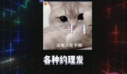 娱乐圈吃瓜爆料背景音乐,揭秘吃瓜爆料背后的音乐旋律