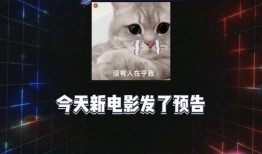 娱乐吃瓜最前线,吃瓜群众最前线揭秘！