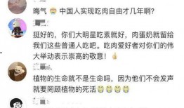 明星热搜爆料视频大全,明星爆料视频大盘点