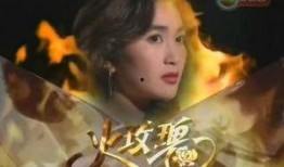 港剧网火玫瑰在线观看,激情燃烧的岁月，在线观看重温经典！