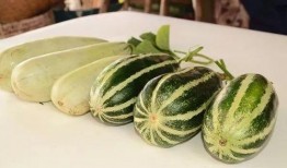 吃小网红瓜,那些你不知道的小秘密