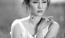 黑红女星爆料视频在线观看,在线观看背后的真相与争议