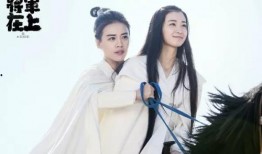 将军在上在线观看免费,宫廷权谋与爱恨情仇的巅峰对决