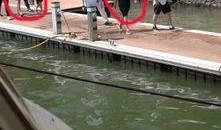 网红主播爆料王思聪视频,真相背后引热议