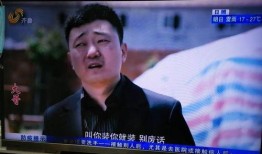 十三哥爆料郝振东视频播放,郝振东视频播放背后的惊人真相