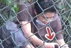 狗仔视频爆料大全,揭秘娱乐圈幕后真相