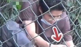 狗仔视频爆料大全,揭秘娱乐圈幕后真相