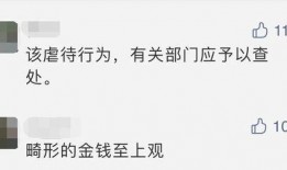 网红吃瓜视频账号大全,揭秘热门视频背后的秘密