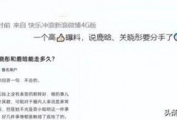 大瓜爆料鹿晗视频大全最新,大瓜爆料背后的精彩瞬间