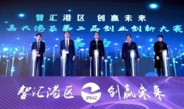 嘉兴房东最新爆料新闻,揭露租房市场惊人内幕