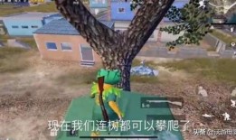 和平精英最新堵桥爆料,全新堵桥战术曝光，战场格局再掀风云