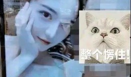 网红吃瓜百万富二代,揭秘娱乐圈幕后真相