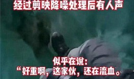 晓乐八卦爆料事件视频大全,揭秘热门事件视频大全