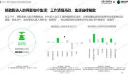 新闻爆料剪辑手法分析报告,揭秘幕后技巧与影响