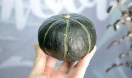 抖音康县网红吃瓜,抖音美食之旅