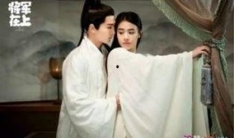 将军在上在线观看免费,宫廷权谋与爱恨情仇的巅峰对决
