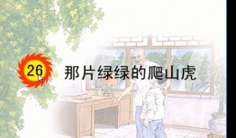 绿片在线观看,揭秘神秘绿片世界