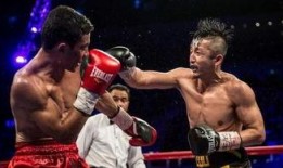 爆料武林风打假拳视频,揭秘幕后黑幕与真相曝光