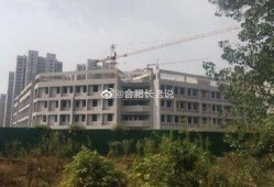 新河中学爆料新闻最新,揭秘校园背后的秘密