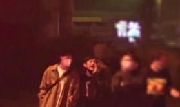 木偶最新爆料视频大全图片,揭秘视频大全背后的惊人真相