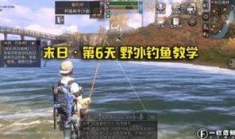 钓鱼爆料视频下载,揭秘网络钓鱼的技巧与防范
