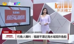 钓鱼爆料视频下载,揭秘网络钓鱼的技巧与防范