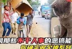 黑哥爆料小学坠楼视频,黑哥爆料揭示小学坠楼事件真相