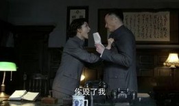 伪装者40集在线观看,揭秘兄弟情深背后的惊心动魄