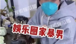 爆料娱乐圈家暴男星,揭秘家暴男星的真实面目