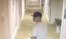 出名爆料的记者是谁呀视频