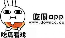 网红吃瓜黑爆料,真相与谣言的交织